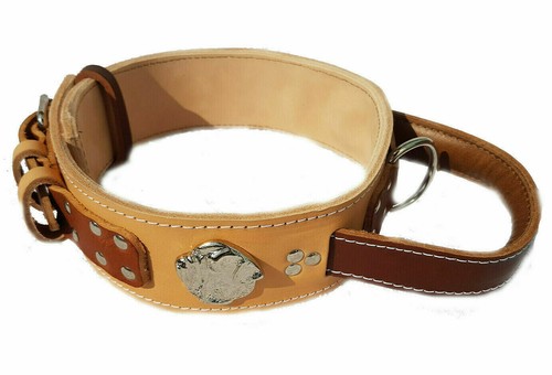 Two tone heavy duty dog - tone, collar