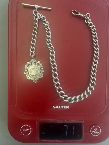 Albert watch chain - albert,