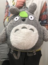 My neighbour Totoro kawaii