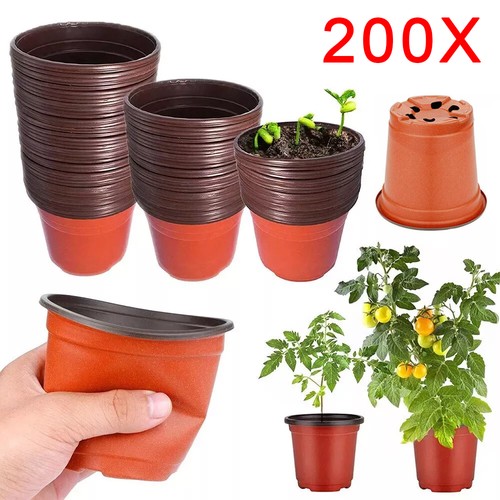 200 pack plastic plant - pack,