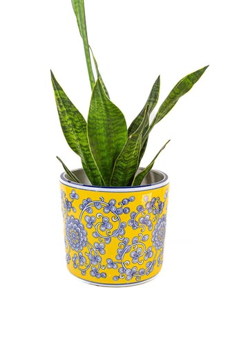 Large blue and yellow - large,