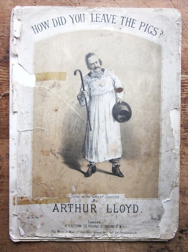 1878 pigs arthur - pigs,