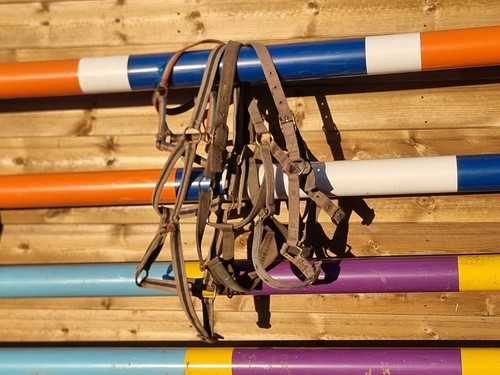 Bargain joblot equestrian - bargain,