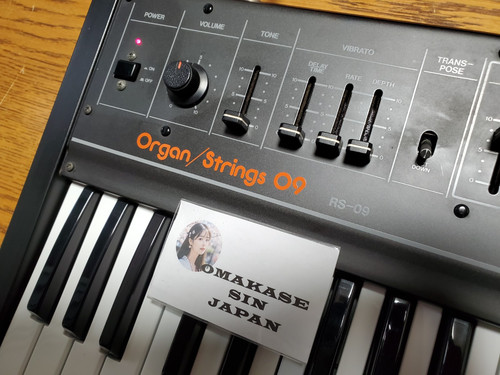 Roland organ strings 09 - rs-09, organ/strings