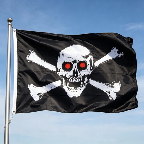 Jolly roger skull - skull, flag