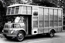 CV126 - Livestock Transport