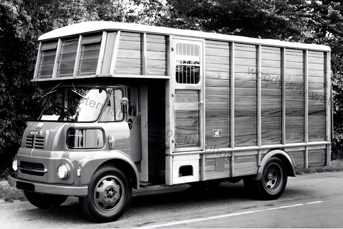 Cv126 livestock transport - cv126,