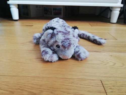 Cute snow leopard - snow, very