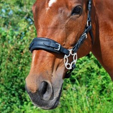 Star Hackamore Bitless Bridle Noseband (Large/Full - Black) [Made in the UK]
