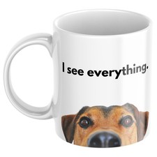 Funny Jack Russell Terrier