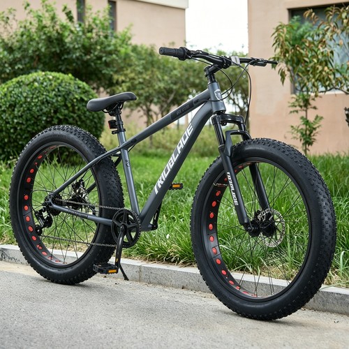 Wheel mountain bike - bike, fat