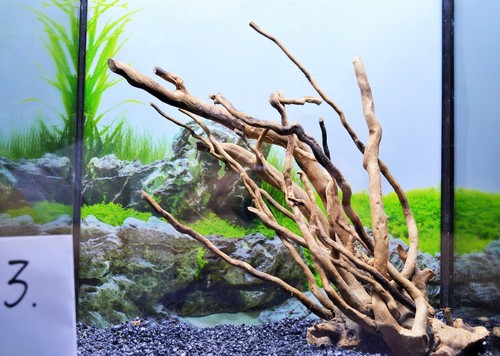 Small red moor wood - wood, bogwood