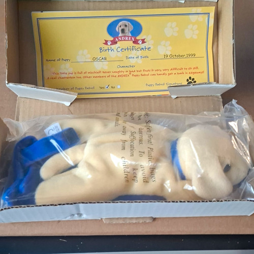 Andrex oscar puppy - andrex,
