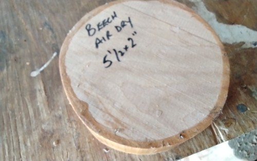 Spalted beech hardwood turning - spalted,