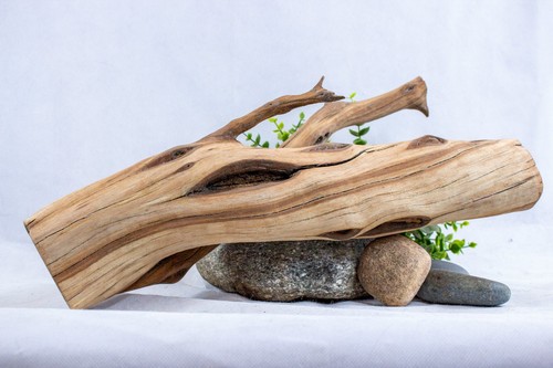 Manzanita driftwood log - manzanita,