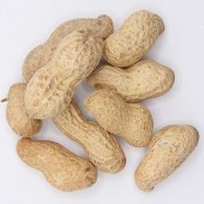 Hammykins Monkey Nuts 30g  Premium Hamster Food treat Syrian Pet