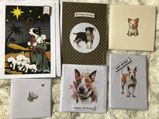 English Bull Terrier  Dog