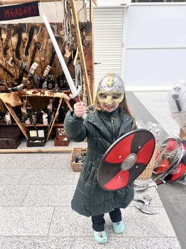 Viking shield sword and - viking, shield,