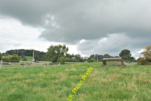 Photo 6x4 sheep hay - photo,