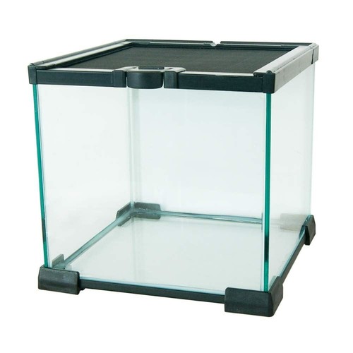 Komodo reptile nano habitat - komodo,