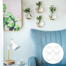 4Pcs Hexagonal Glass Vase Fish