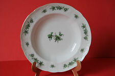 Seltmann Weiden Vienna Green Rose Soup Plate Platter 23cm 26475