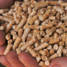 Pelletised Worm Treats (1.5 kg Bag) Treats for Worms In Wormeries