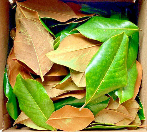 Large box of - (3.4, gal)