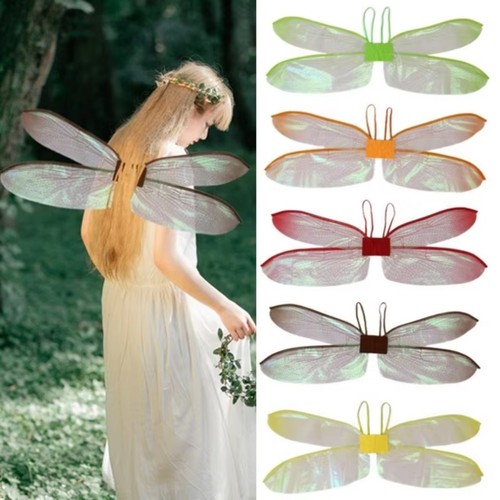 Colorful dragonfly butterfly - dragonfly,