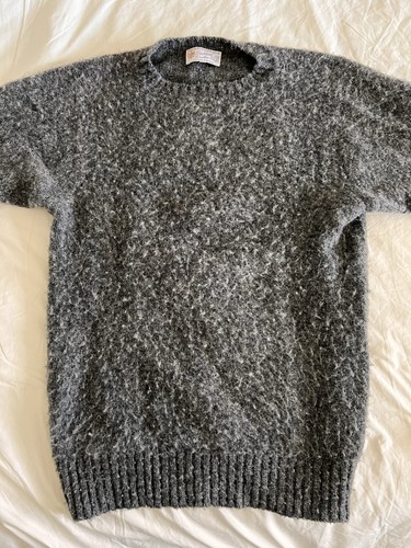 Shetland woolen shaggy - co, dog