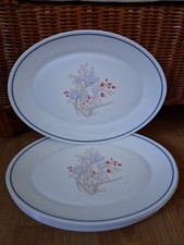 6  Blue Iris Pyrex oval dinner