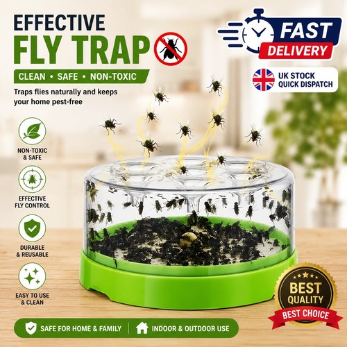 Automatic fly catcher - automatic,