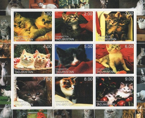 Cats kittens 2000 mnh stamp - cats,