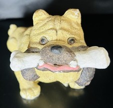 English Bulldog Figurine Hand Painted White Hand Cast One In Mouth