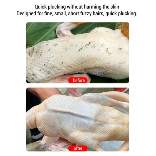 Cordless electric chicken - cordless,