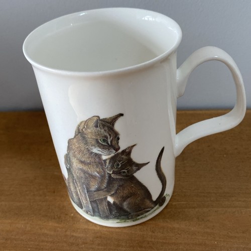 Roy kirkham cat - kirkham,