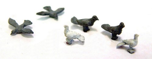 Birds doves pigeons f148p - doves,