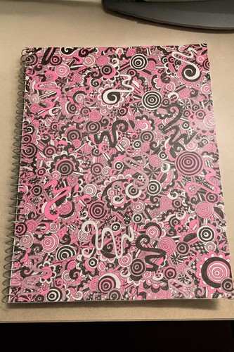 School spiral notebook 80 - school,
