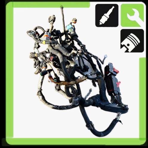 Ford focus engine wiring - ford, st