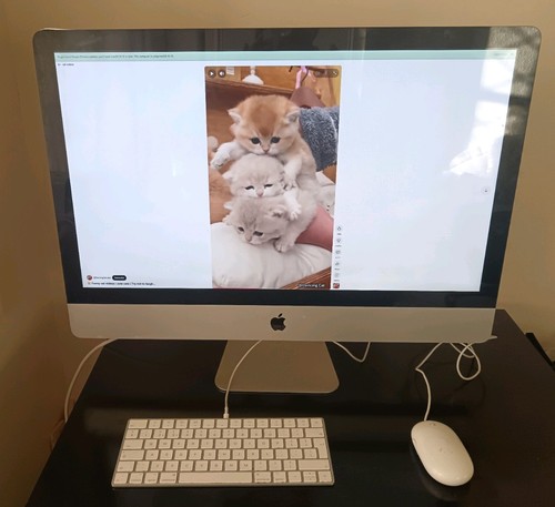 Inch apple imac late 2009 - 27,