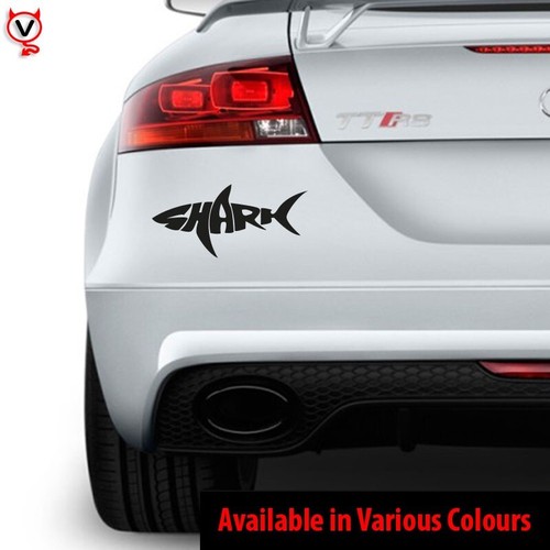 Shark fishing vinyl - vinyl, decal