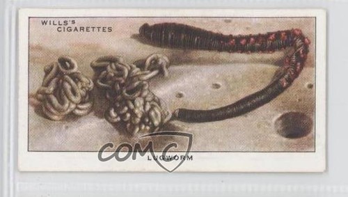 1938 wills the - 1938,