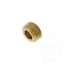 UK Plug Caliper Pin rear