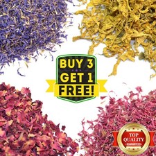 Various Dried Flowers for