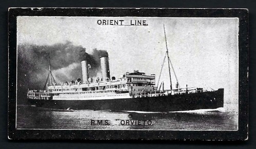 Singleton cole orient line - -,