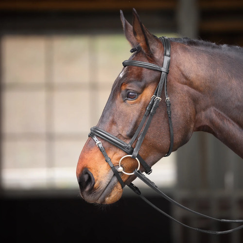 Shires velociti gara comfort - shires,