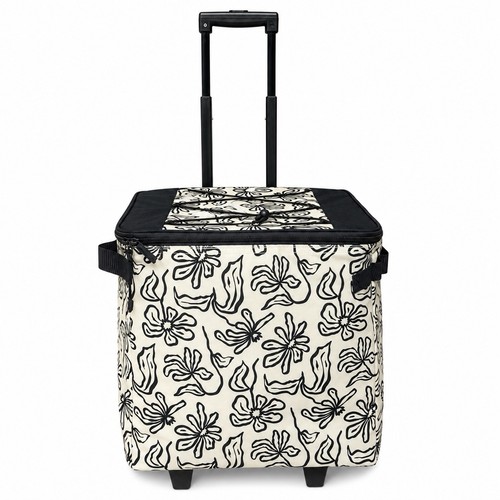 Pull along picnic cooler - along, bag