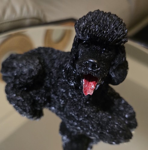 Vintage castagna black poodle - vintage,