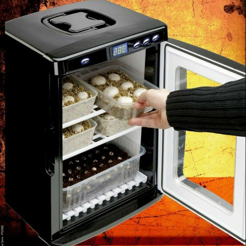 25l reptile incubator digital - reptile,