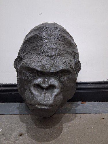 Gorilla death mask - gorilla,